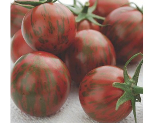 Calorias en tomate cherry